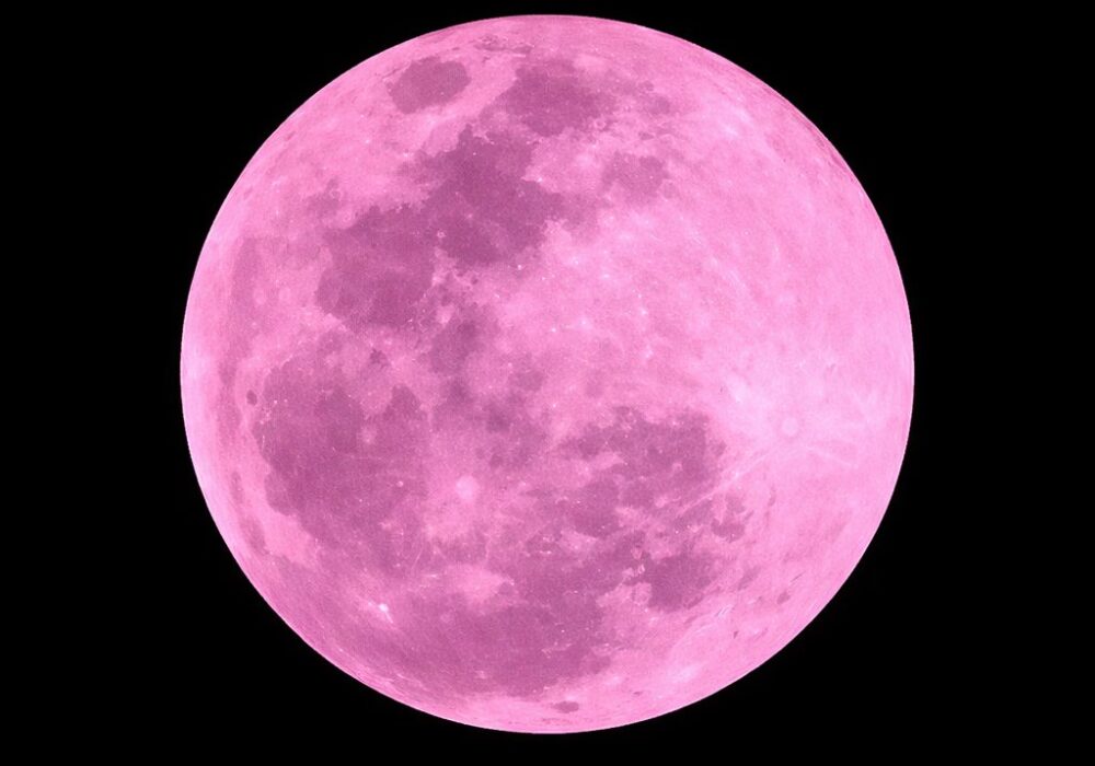 Protected & Aligned: Barbz + Kenz Rising Under the Pink Full Moon